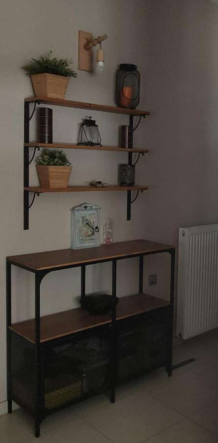 Museum Apartment Волос Екстериор снимка