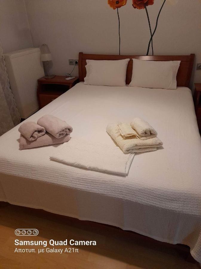 Museum Apartment Волос Екстериор снимка